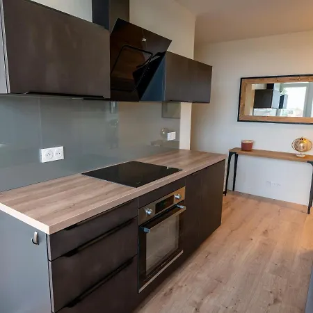 Apartamento T2 De Standing Climatise Avec Parking Prive, Tram T2 T5, Hopitaux Est Bron Exterior foto